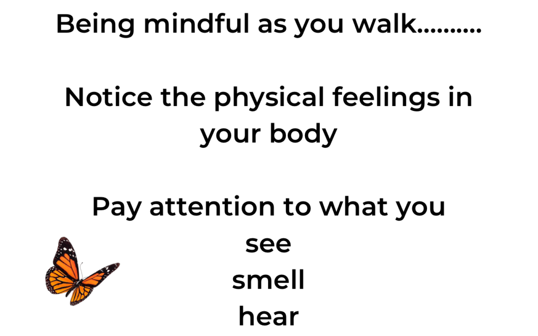 Mindfulness Walk!
